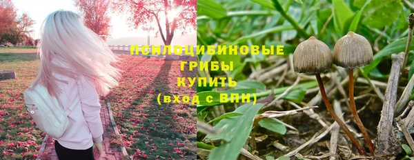 дмт Карпинск